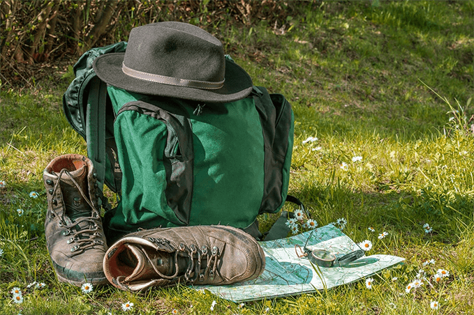 Birdwatching - bunte Vogelwelt in Österreich