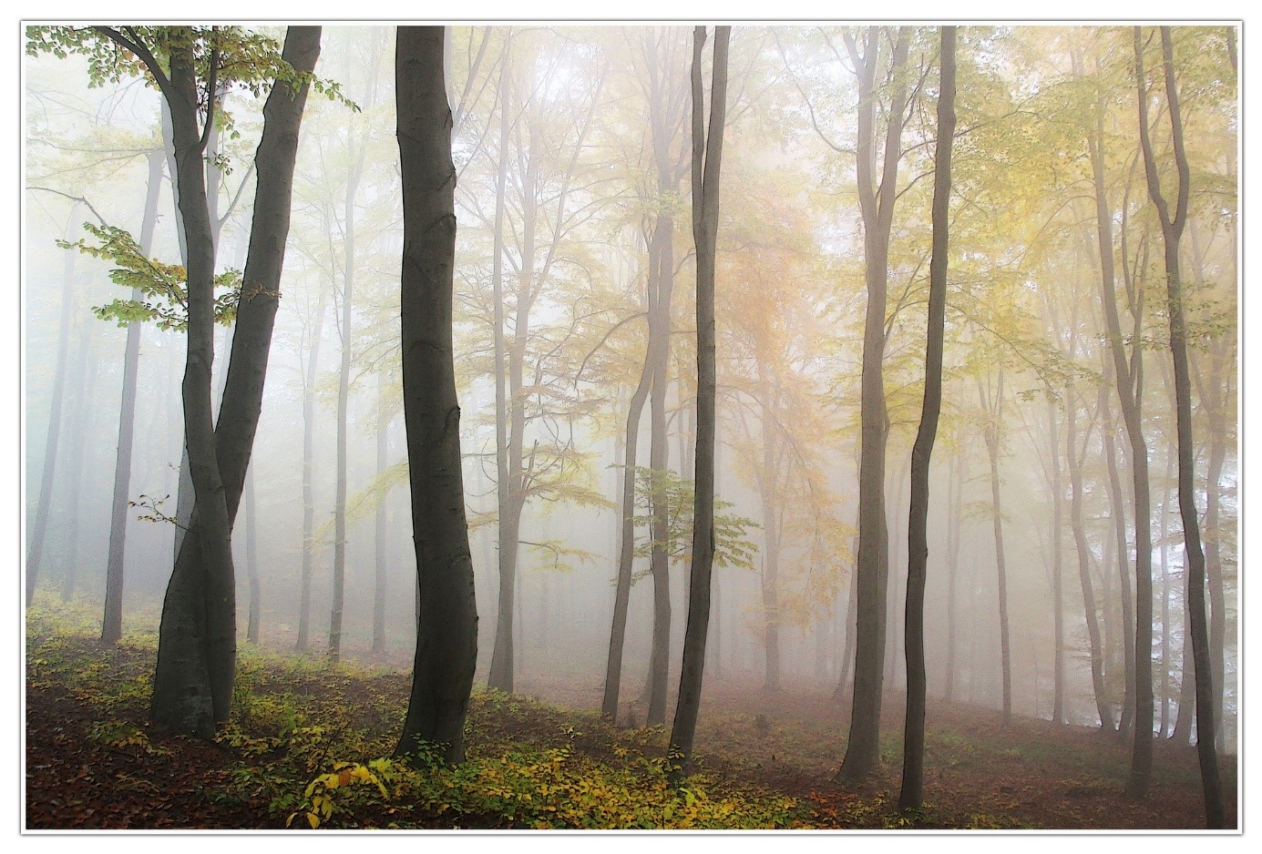 herbststimmung herbstblues