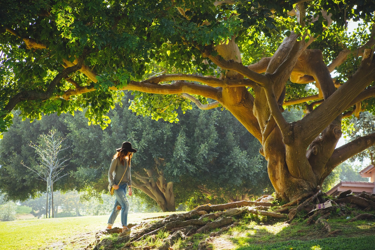 frau in der natur