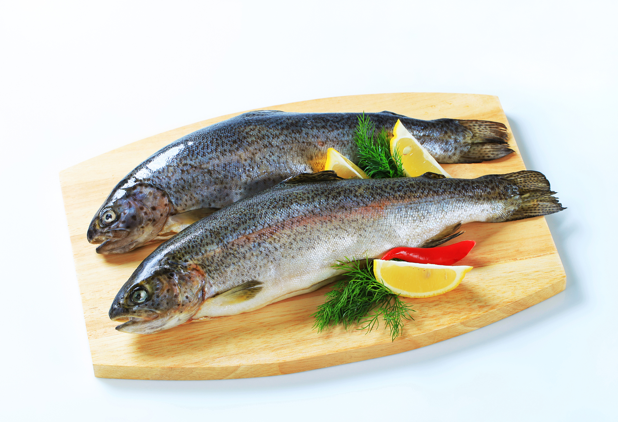 Fische sind gute Omega 3 Quellen