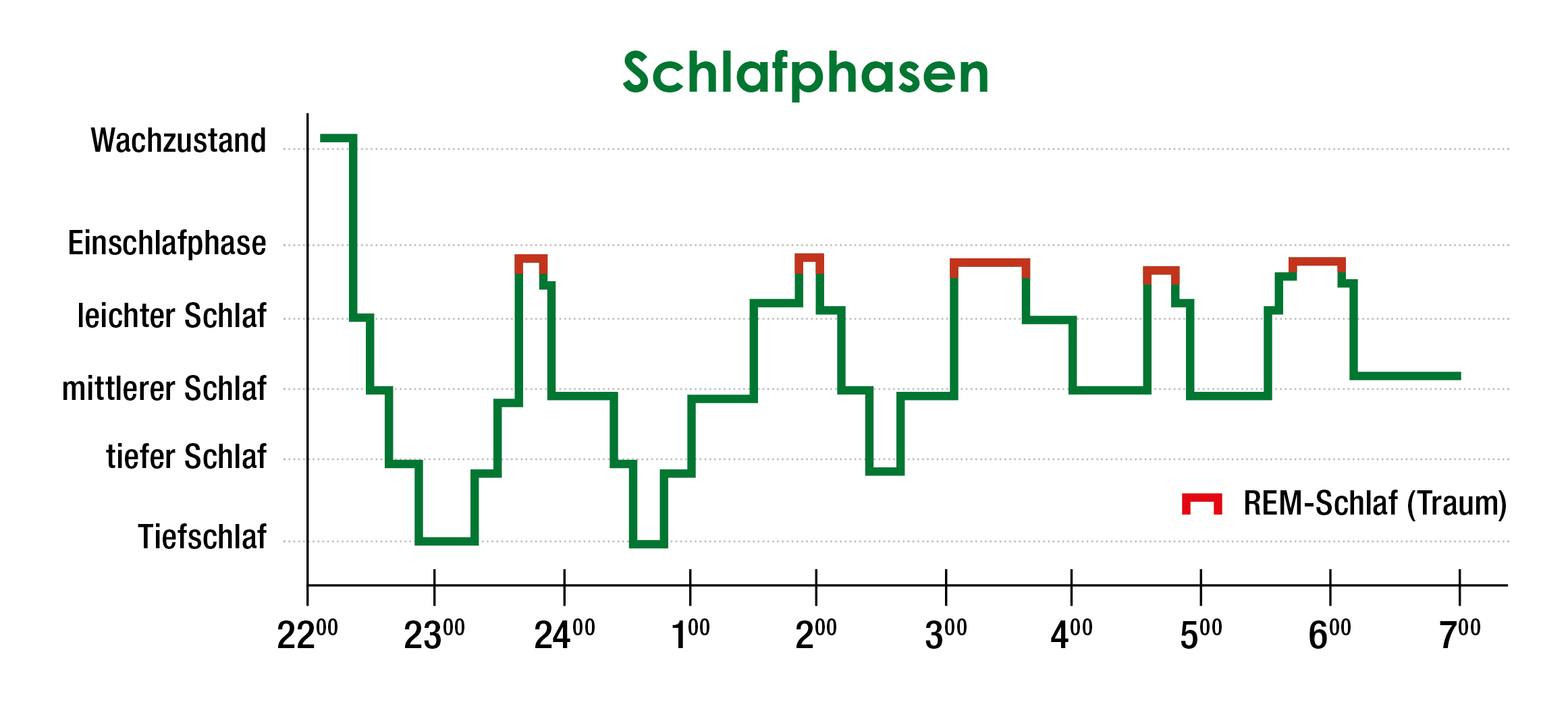 Die 5 Schlafphasen