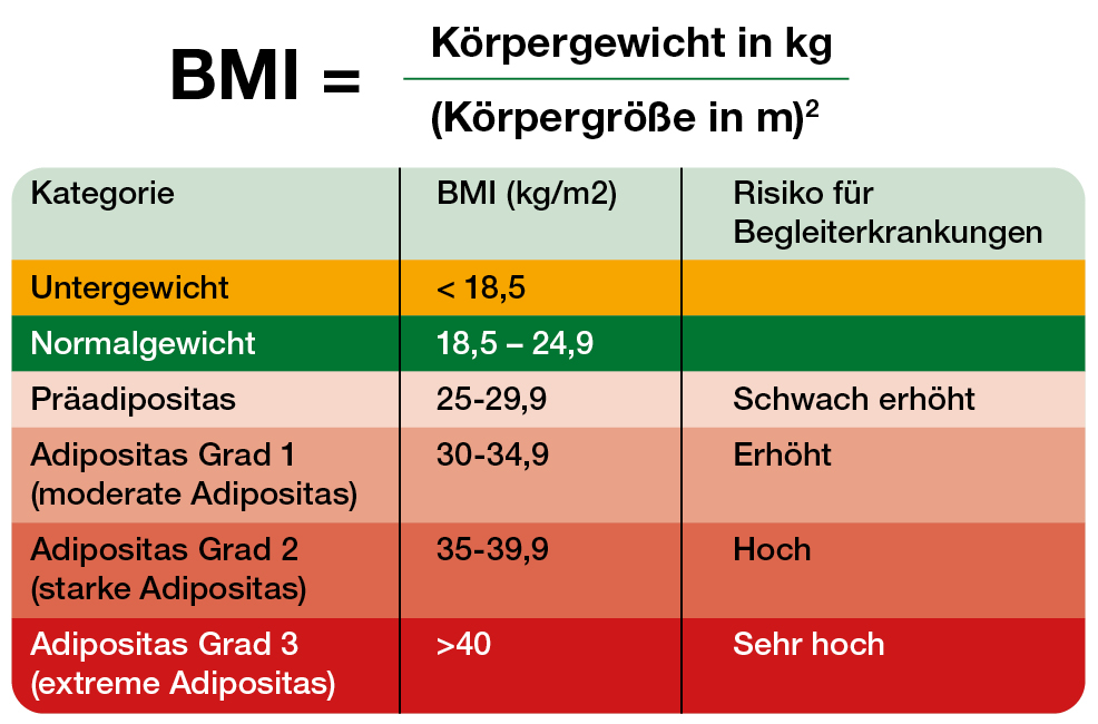 BMI (Body Mass Index) berechnen