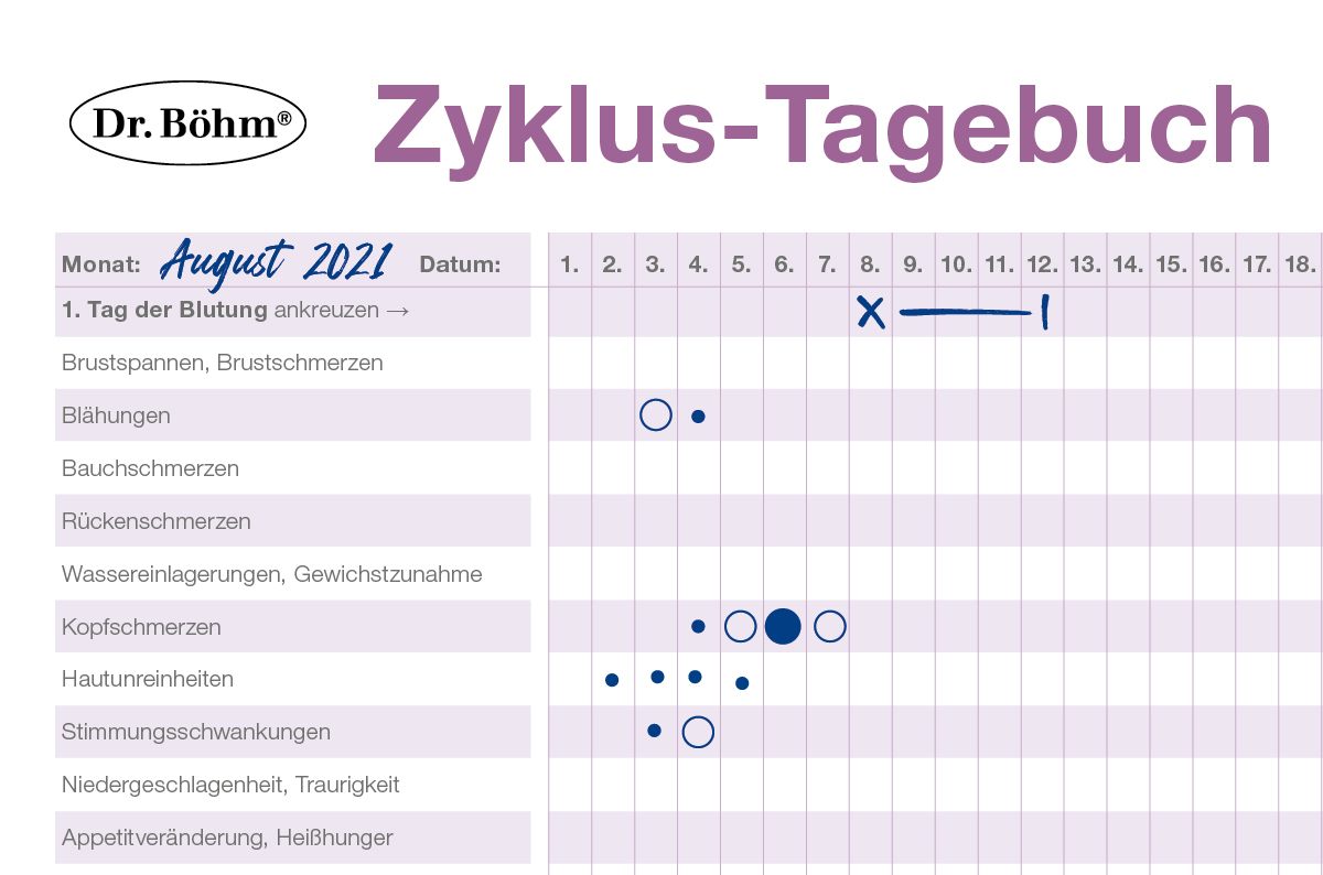 Beispiel für einen Zykluskalender