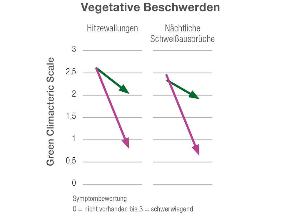 Isoflavone verbessern körperliche und psychische Symptome