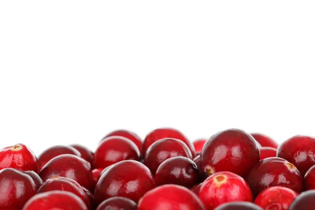 Cranberry gegen Blasenentzündung