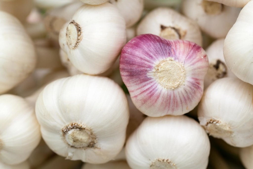 Knoblauch enthält Allicin