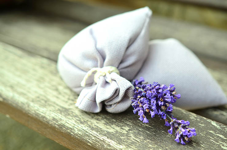 Aromatherapie mit Lavendel