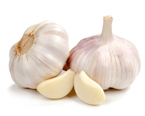 Knoblauch schützt Gefäße