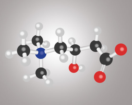 L-Carnitin mit regenerativer wirkung
