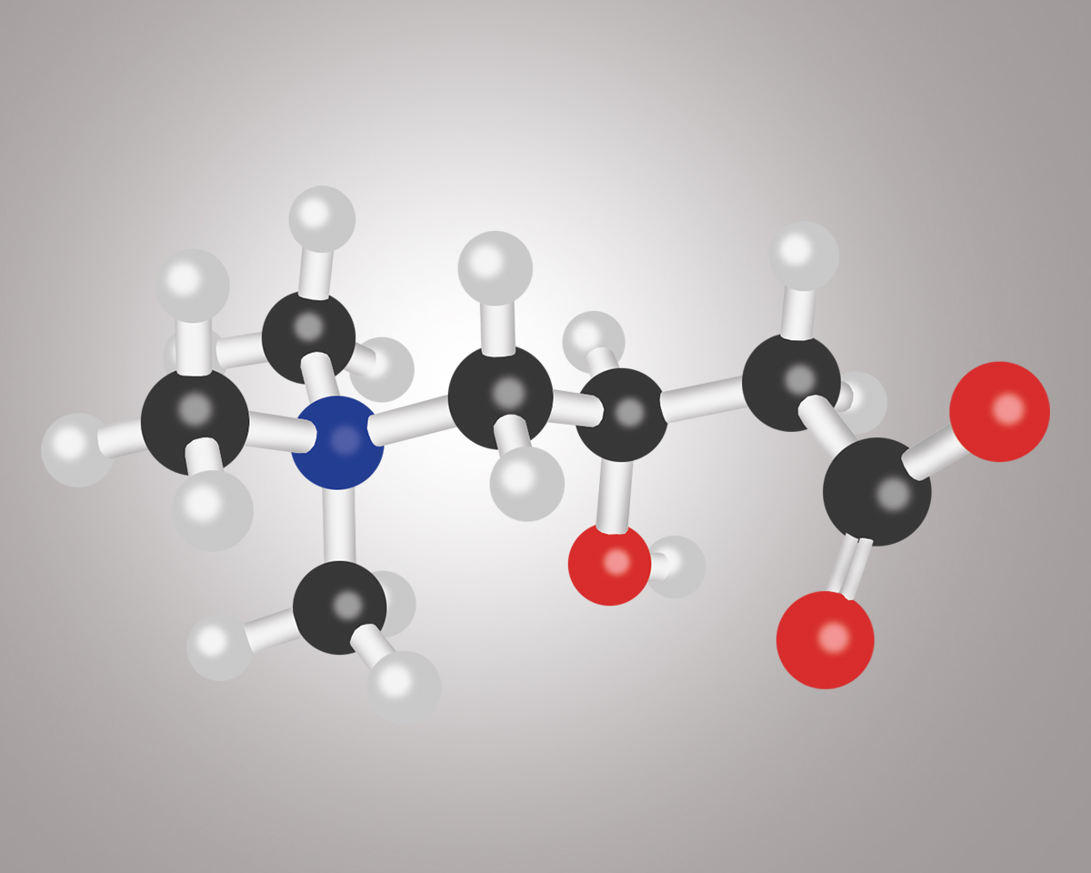 L-Carnitin mit regenerativer wirkung